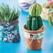 Cactus pincushion & planters