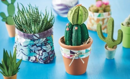 Cactus pincushion & planters