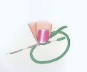 8 Essential Stitches 8 Essential Stitches