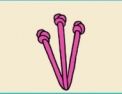 Pistil stitch Pistil stitch