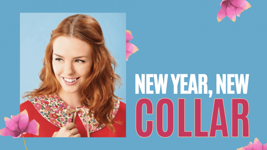 New Year, New Collar New Year, New Collar
