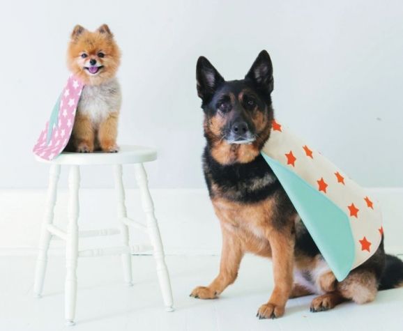 Sew Issue 109 Sneak Peek Sew Issue 109 Sneak Peek