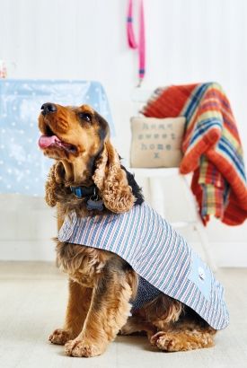 Easy Dog Coat Easy Dog Coat