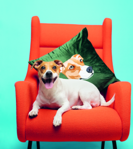 Jack Russell Embroidered Cushion Jack Russell Embroidered Cushion