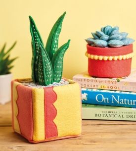 Felt Succulents Felt Succulents