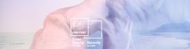Pantone’s Colour Of The Year 2016 Pantone’s Colour Of The Year 2016