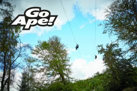 Go Ape! Go Ape!