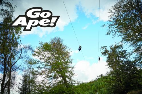 Go Ape! Go Ape!