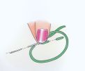 8 Essential Stitches 8 Essential Stitches