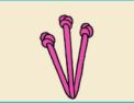 Pistil stitch Pistil stitch