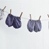 Baby Bloomers