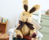 Plush Bunny Rabbit Toy