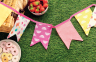 Picnic Essentials Sewing Pattern