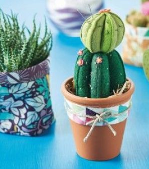 Cactus pincushion & planters