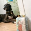 Embroidered Cat Doorstop and Hanging Pocket