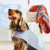 Easy Dog Coat