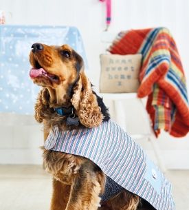 Easy Dog Coat Easy Dog Coat