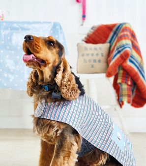 Easy Dog Coat