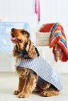 Easy Dog Coat