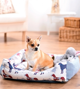 Dog Print Dog Bed and Coat