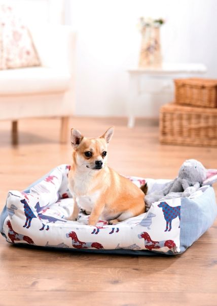 Dog Print Dog Bed and Coat