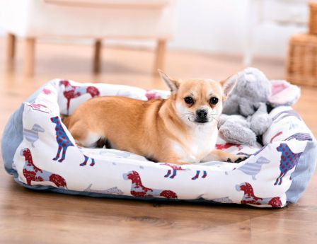 Dog Print Dog Bed and Coat