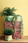 Easy Fat Quarter Plant Pots Sewing Pattern