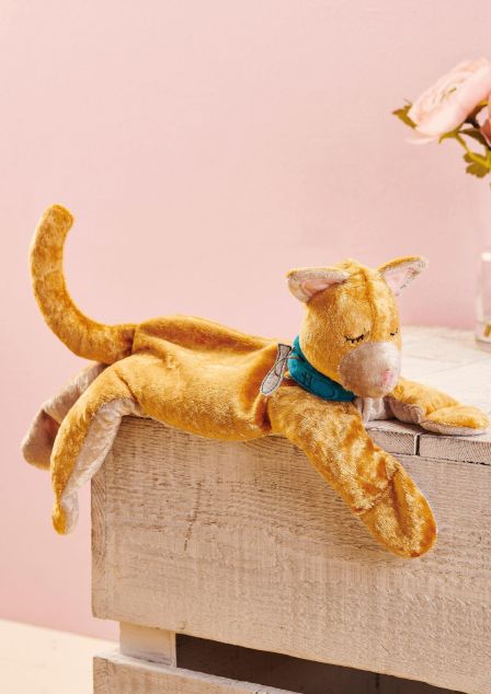 Sleeping Kitty Cat