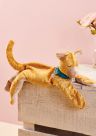Sleeping Kitty Cat