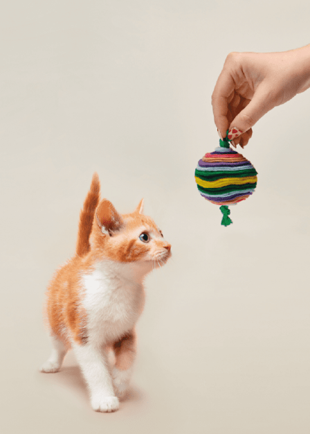Cat Toys and Washable Food Mat Sewing Pattern