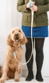 Patchwork Dog Lead Sewing Pattern