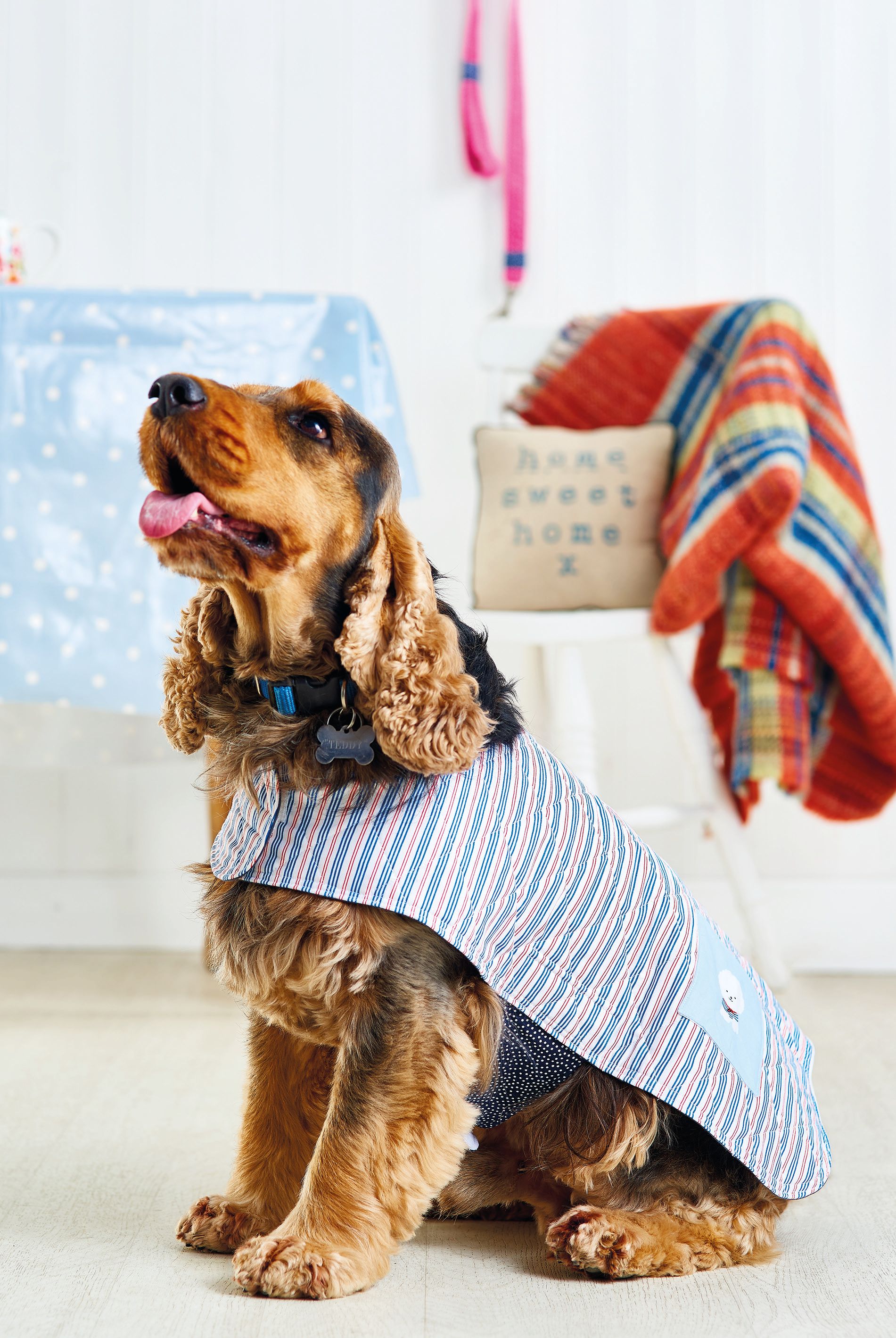 Dog Coat Patterns To Sew